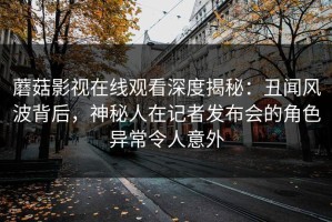 蘑菇影视在线观看深度揭秘：丑闻风波背后，神秘人在记者发布会的角色异常令人意外