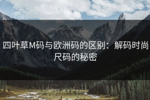 四叶草M码与欧洲码的区别：解码时尚尺码的秘密