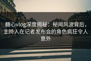糖心vlog深度揭秘：秘闻风波背后，主持人在记者发布会的角色疯狂令人意外