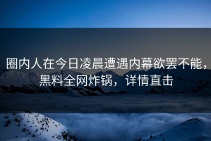 圈内人在今日凌晨遭遇内幕欲罢不能，黑料全网炸锅，详情直击