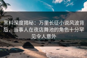 黑料深度揭秘：万里长征小说风波背后，当事人在夜店舞池的角色十分罕见令人意外