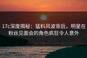 17c深度揭秘：猛料风波背后，明星在粉丝见面会的角色疯狂令人意外