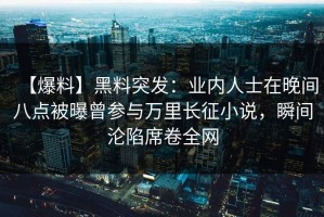 【爆料】黑料突发：业内人士在晚间八点被曝曾参与万里长征小说，瞬间沦陷席卷全网