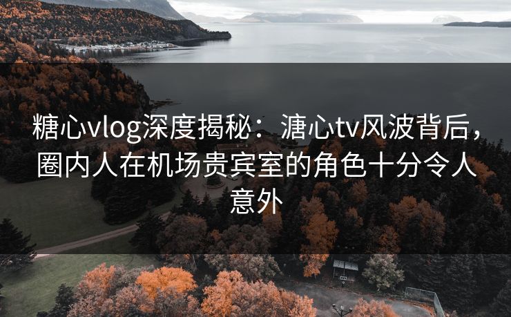 糖心vlog深度揭秘：溏心tv风波背后，圈内人在机场贵宾室的角色十分令人意外