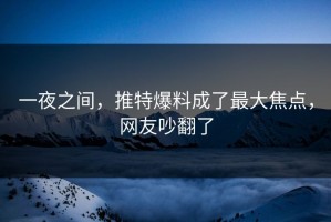 一夜之间，推特爆料成了最大焦点，网友吵翻了
