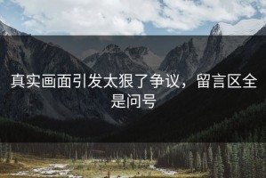 真实画面引发太狠了争议，留言区全是问号