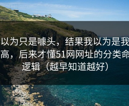 我以为只是噱头，结果我以为是我要求高，后来才懂51网网址的分类命名逻辑（越早知道越好）