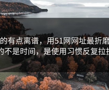 真的有点离谱，用51网网址最折磨人的不是时间，是使用习惯反复拉扯
