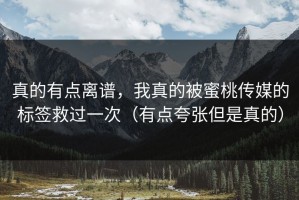 真的有点离谱，我真的被蜜桃传媒的标签救过一次（有点夸张但是真的）