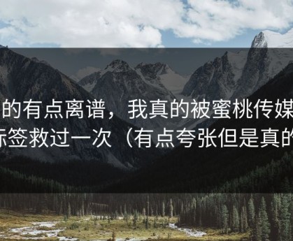 真的有点离谱，我真的被蜜桃传媒的标签救过一次（有点夸张但是真的）