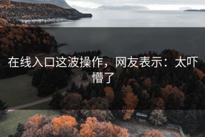 在线入口这波操作，网友表示：太吓懵了