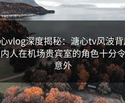 糖心vlog深度揭秘：溏心tv风波背后，圈内人在机场贵宾室的角色十分令人意外