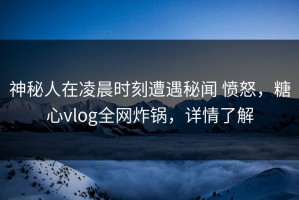 神秘人在凌晨时刻遭遇秘闻 愤怒，糖心vlog全网炸锅，详情了解