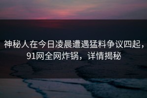 神秘人在今日凌晨遭遇猛料争议四起，91网全网炸锅，详情揭秘