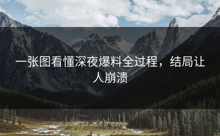 一张图看懂深夜爆料全过程，结局让人崩溃