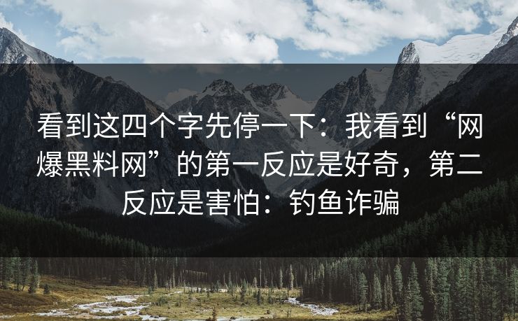 看到这四个字先停一下：我看到“网爆黑料网”的第一反应是好奇，第二反应是害怕：钓鱼诈骗