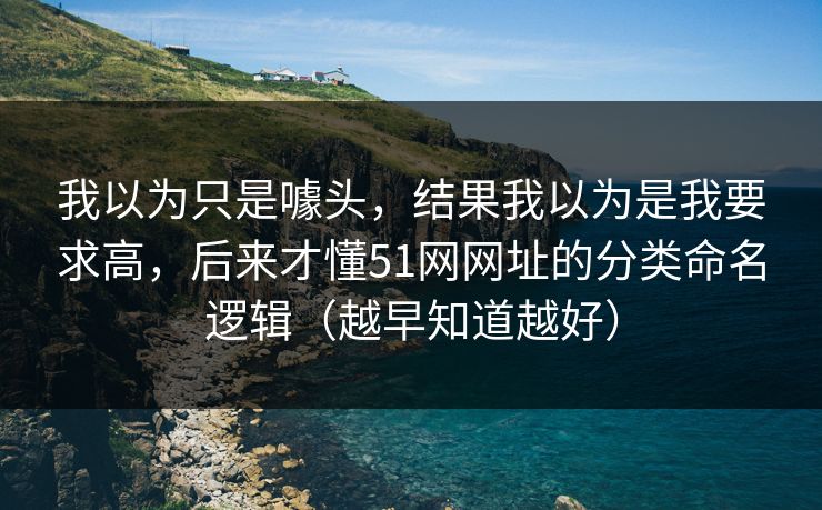 我以为只是噱头,结果我以为是我要求高,后来才懂51网网址的分类命名逻辑(越早知道越好) 我以为只是噱头,结果我以为是我要求高,后来才懂51网网址的分类命名逻辑(越早知道越好)