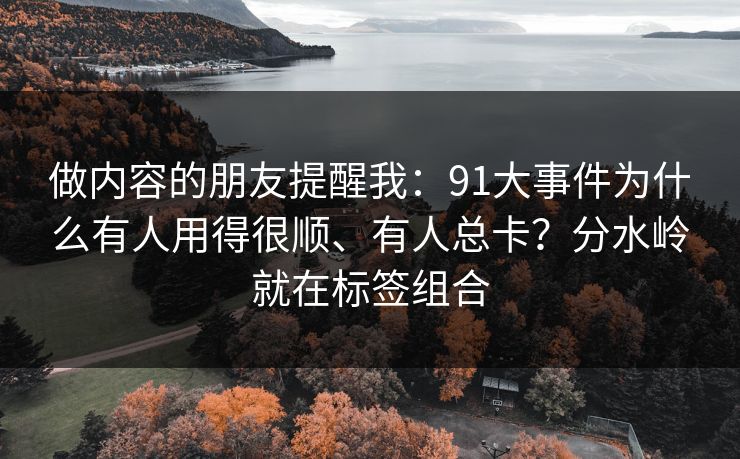 做内容的朋友提醒我：91大事件为什么有人用得很顺、有人总卡？分水岭就在标签组合
